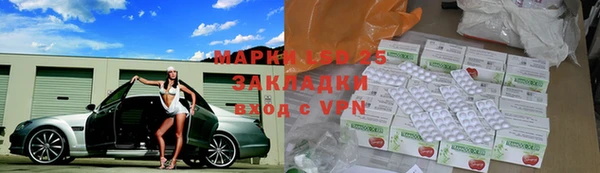 индика Алзамай