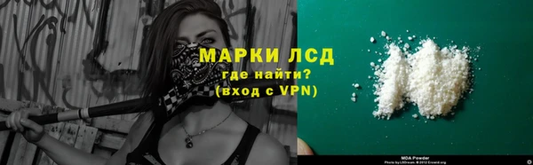 индика Алзамай