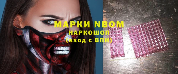 индика Алзамай
