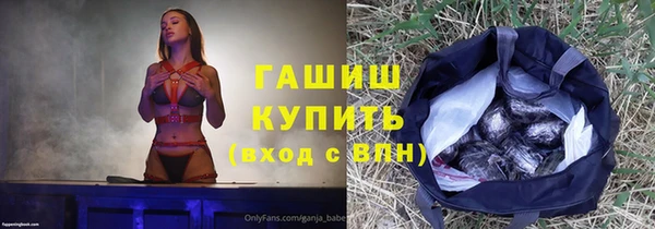 индика Алзамай