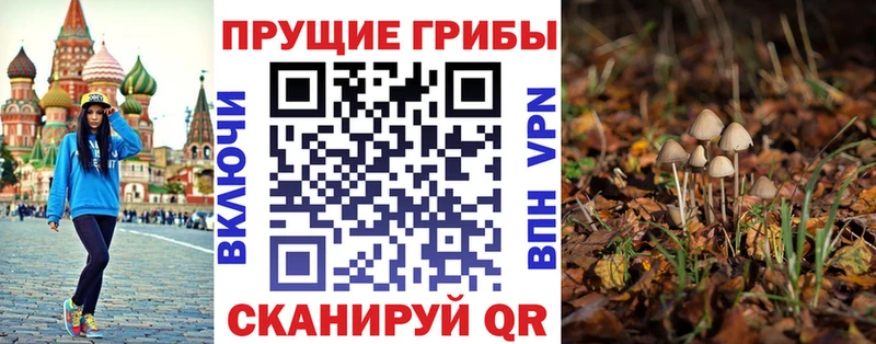 Галлюциногенные грибы MAGIC MUSHROOMS  Родники 